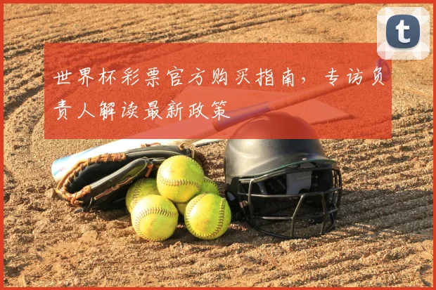 世界杯彩票官方购买指南,专访负责人解读最新政策