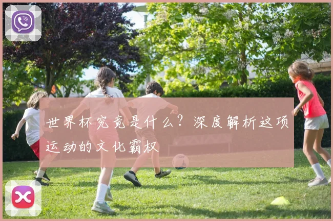 世界杯究竟是什么？深度解析这项运动的文化霸权
