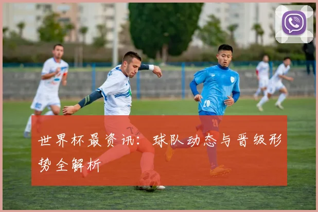 世界杯最资讯：球队动态与晋级形势全解析