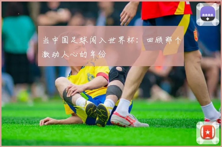 当中国足球闯入世界杯:回顾那个激动人心的年份