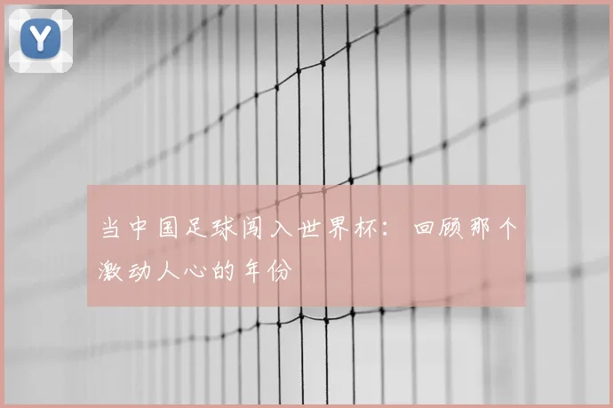 当中国足球闯入世界杯:回顾那个激动人心的年份