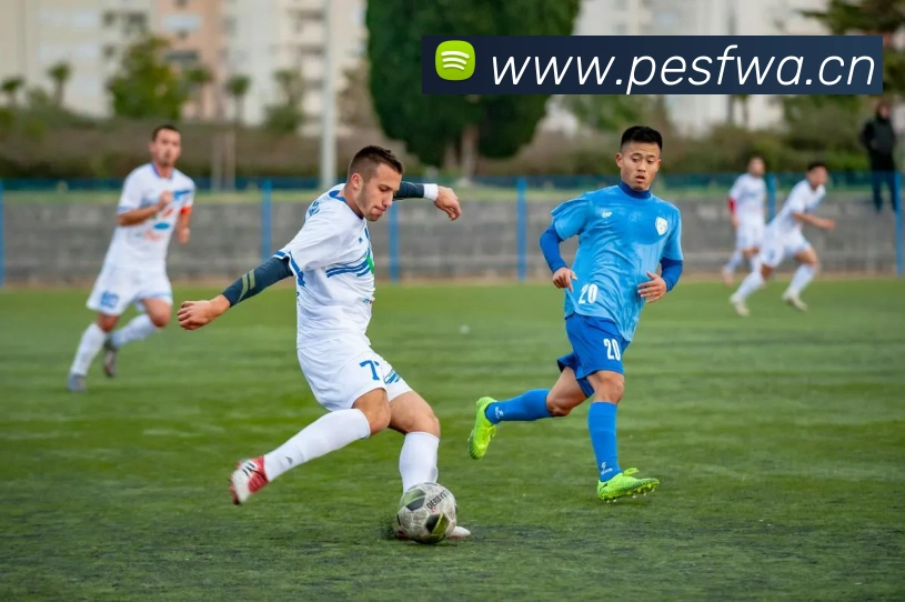 星空app网页登录入口平台生态图