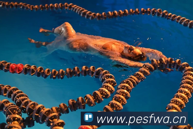 星空app网页登录入口APP 封面图